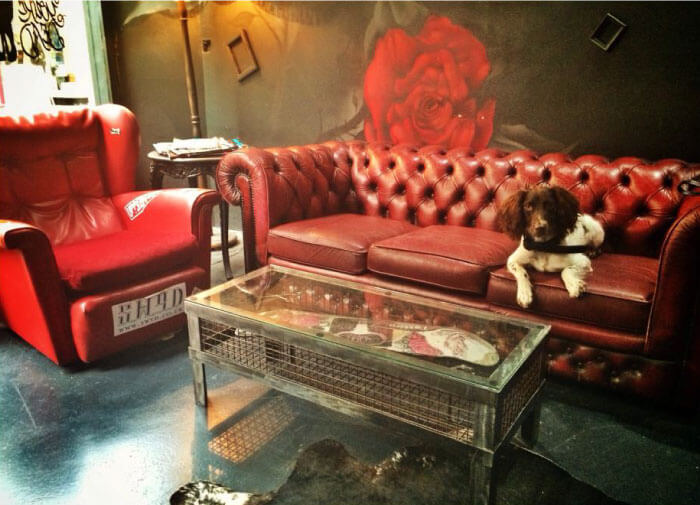 SWYD Matthew Pritchard