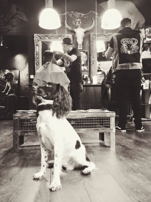 SWYD Matthew Pritchard